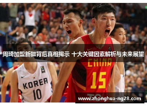 周琦加盟新疆背后真相揭示 十大关键因素解析与未来展望